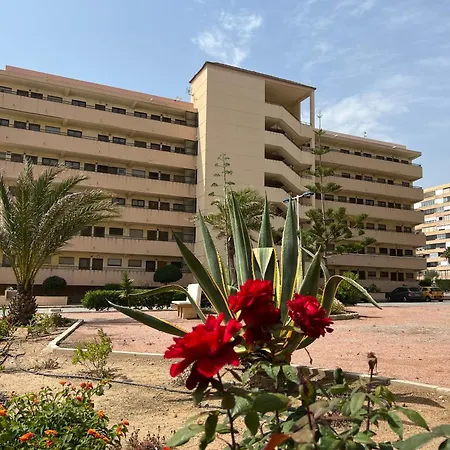 Azul - Casa Azul 1-2-3, Sea View, First Line, La Mata-torrevieja 아파트 또레비에하