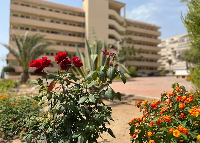 Apartamento Azul 1 - Casa Azul Sea View, First Line, La Mata-torrevieja *