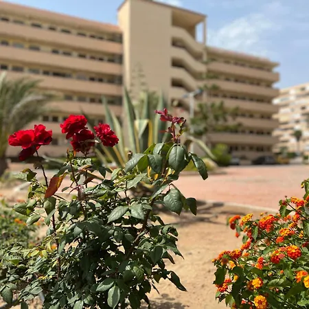 Apartment Azul - Casa Azul 1-2-3, Sea View, First Line, La Mata-torrevieja *